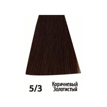 5/3 Коричневый Золотистый Siena Acme-Professional﻿